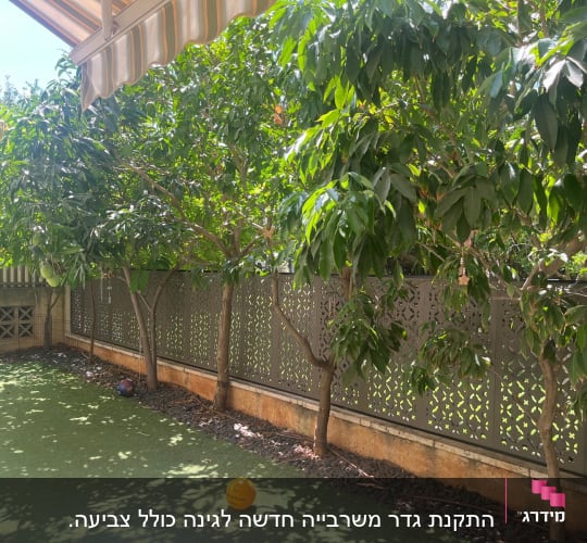 גדר מתכת מעוצבת בחיתוך בלייזר בחצר בית עם עצים ודשא